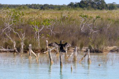 Beautiful Impressions of Yucatan in Mexico