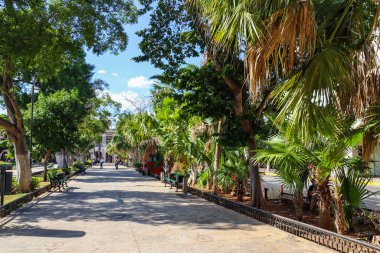 Beautiful Impressions of Yucatan in Mexico
