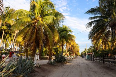 Beautiful Impressions of Yucatan in Mexico