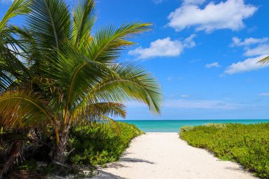 Beautiful Impressions of Yucatan in Mexico