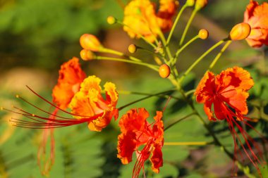 Beautiful Impressions of Yucatan in Mexico
