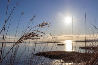 Sylt 'in kışın karlı güzel taklitleri