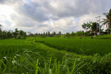 Endonezya 'nın güzelliğini keşfedin.