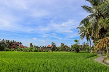 Endonezya 'nın güzelliğini keşfedin.