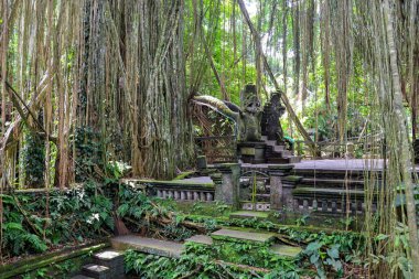 Endonezya 'nın güzelliğini keşfedin.