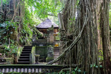 Endonezya 'nın güzelliğini keşfedin.