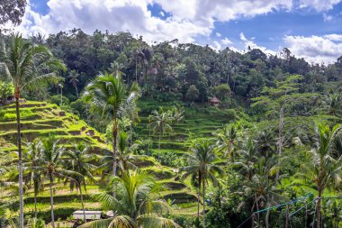 Endonezya 'nın güzelliğini keşfedin.
