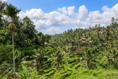 Endonezya 'nın güzelliğini keşfedin.