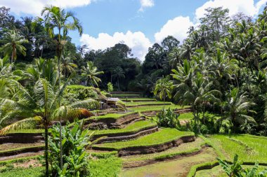 Endonezya 'nın güzelliğini keşfedin.