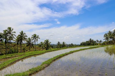 Endonezya 'nın güzelliğini keşfedin.