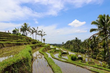 Endonezya 'nın güzelliğini keşfedin.