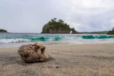 Endonezya 'nın güzelliğini keşfedin.