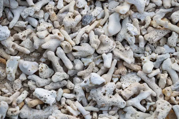 Endonezya 'nın güzelliğini keşfedin.