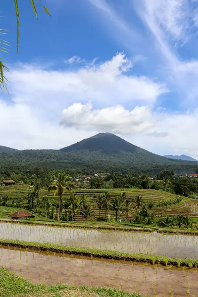 Stock image Discover the beauty of Indonesia's landscapes