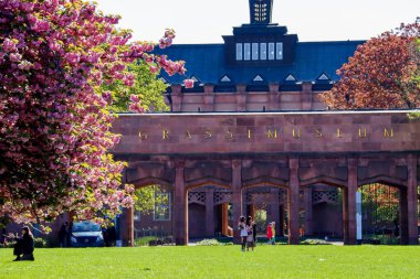 Johannisplatz, Leipzig 'deki GRASSI Müzesi' nin önünde çiçek açan kiraz çiçeklerinin büyüleyici güzelliğini tecrübe edin. Bu büyüleyici görüntüler ziyaretçileri ve yerlileri buraya çeken canlı pembe çiçekleri sergiliyor.