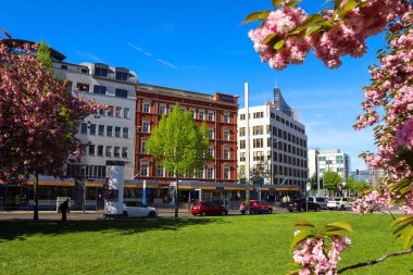 Johannisplatz, Leipzig 'deki GRASSI Müzesi' nin önünde çiçek açan kiraz çiçeklerinin büyüleyici güzelliğini tecrübe edin. Bu büyüleyici görüntüler ziyaretçileri ve yerlileri buraya çeken canlı pembe çiçekleri sergiliyor.