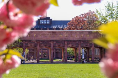 Johannisplatz, Leipzig 'deki GRASSI Müzesi' nin önünde çiçek açan kiraz çiçeklerinin büyüleyici güzelliğini tecrübe edin. Bu büyüleyici görüntüler ziyaretçileri ve yerlileri buraya çeken canlı pembe çiçekleri sergiliyor.