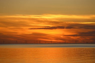 Bu büyüleyici fotoğraflarla Sylt Adası 'nın çarpıcı güzelliğini keşfedin.