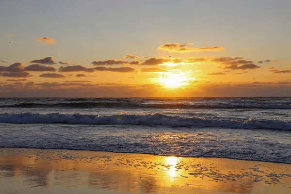 Discover the stunning beauty of Sylt Island through these captivating photos