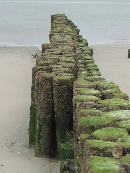 Kumsalda, kumsalda dalga yakalayıcı. 
