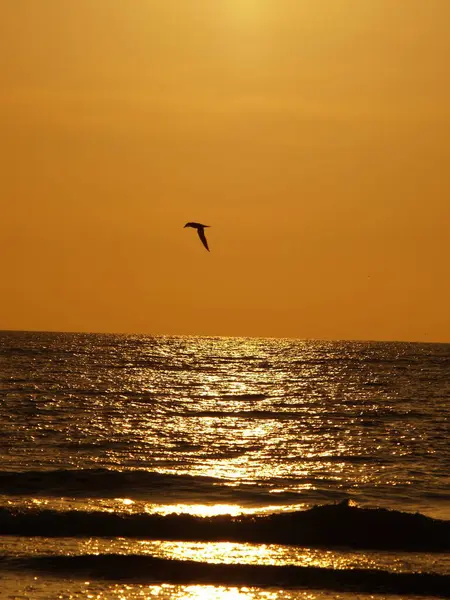 stock image sundown at the beach of amrum, northsea island