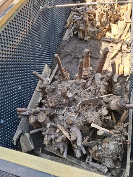 Adımlarla yükseltilmiş bir yatak yap, 4, bahçeyle doldur ahşap istirahatlar ve toprak