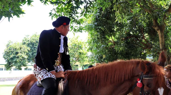 Mężczyzna Jawajskim Ubraniu Koniu Pekalongan Indonezja Sierpnia 2022 — Zdjęcie stockowe