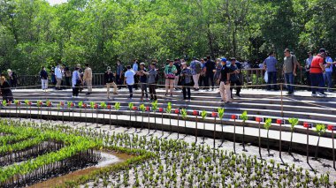 Ngurah Rai Tahura mangrove area, meeting place for state leaders at the G20 Summit Bali 8 December 2022