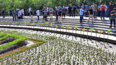 Ngurah Rai Tahura mangrove area, meeting place for state leaders at the G20 Summit Bali 8 December 2022