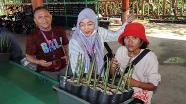 Ngurah Rai Tahura mangrove area, meeting place for state leaders at the G20 Summit Bali 8 December 2022
