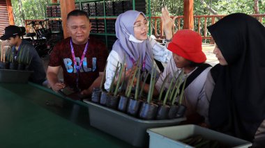 Ngurah Rai Tahura mangrove area, meeting place for state leaders at the G20 Summit Bali 8 December 2022