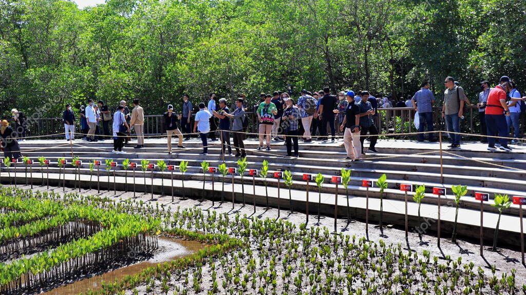 Ngurah Rai Tahura mangrove area, meeting place for state leaders at the G20 Summit Bali 8 December 2022