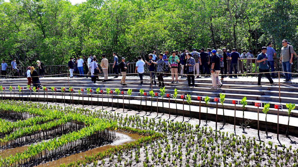 Ngurah Rai Tahura mangrove area, meeting place for state leaders at the G20 Summit Bali 8 December 2022