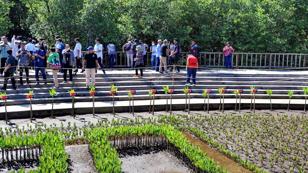 Ngurah Rai Tahura mangrove area, meeting place for state leaders at the G20 Summit Bali 8 December 2022