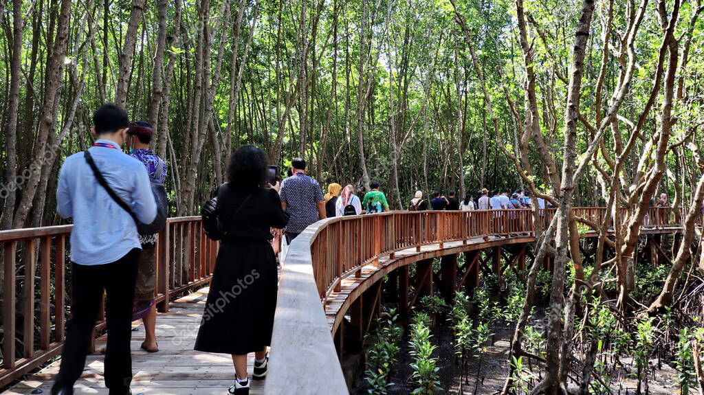 Ngurah Rai Tahura mangrove area, meeting place for state leaders at the G20 Summit Bali 8 December 2022