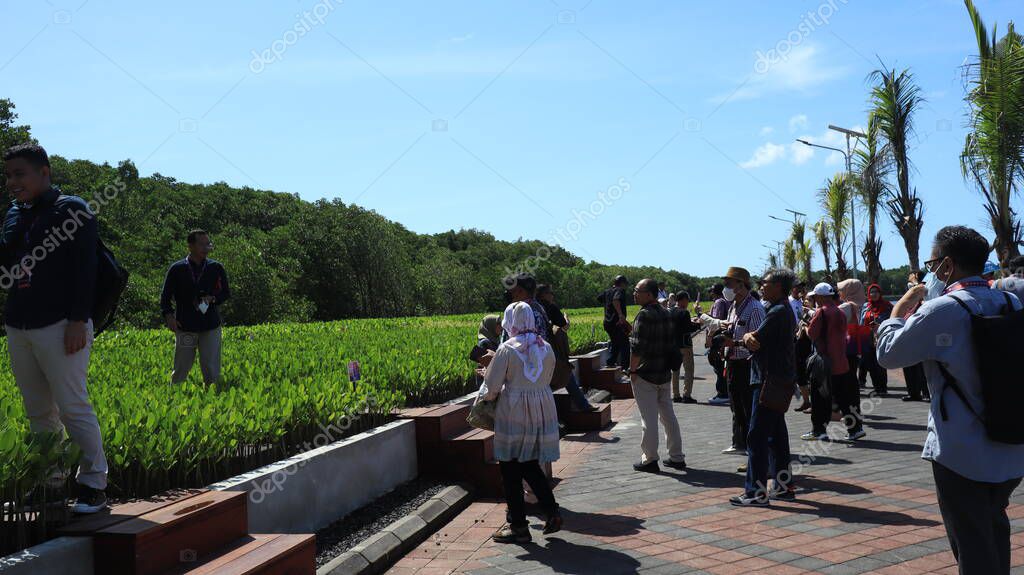 Ngurah Rai Tahura mangrove area, meeting place for state leaders at the G20 Summit Bali 8 December 2022