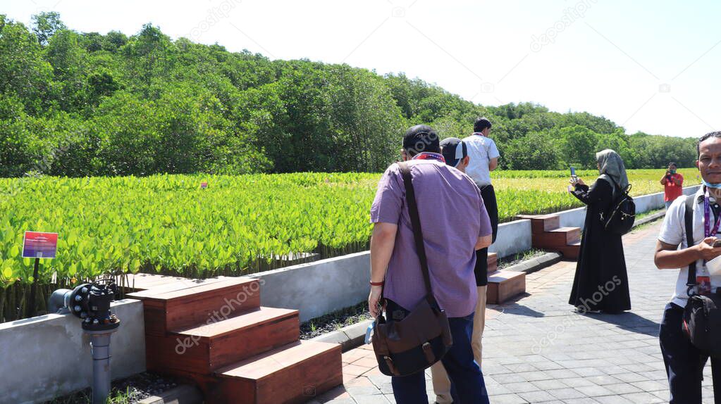 Ngurah Rai Tahura mangrove area, meeting place for state leaders at the G20 Summit Bali 8 December 2022