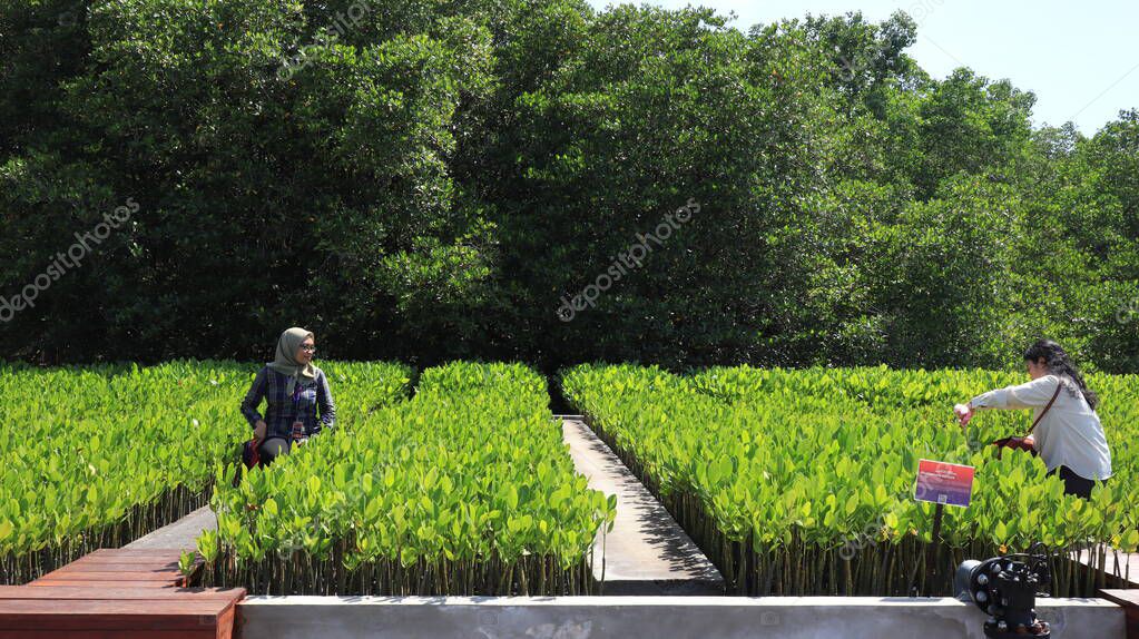 Ngurah Rai Tahura mangrove area, meeting place for state leaders at the G20 Summit Bali 8 December 2022