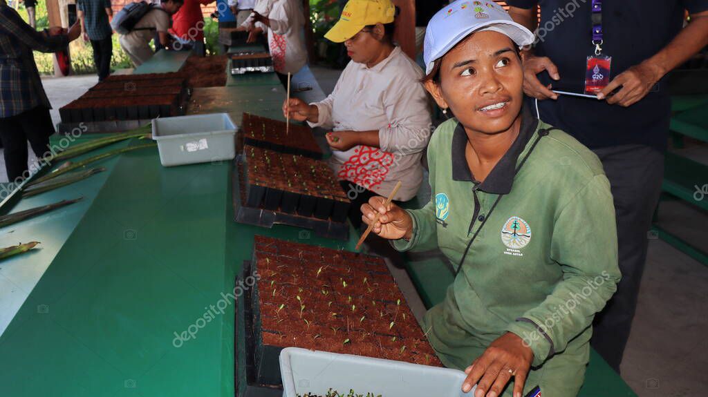 Ngurah Rai Tahura mangrove area, meeting place for state leaders at the G20 Summit Bali 8 December 2022