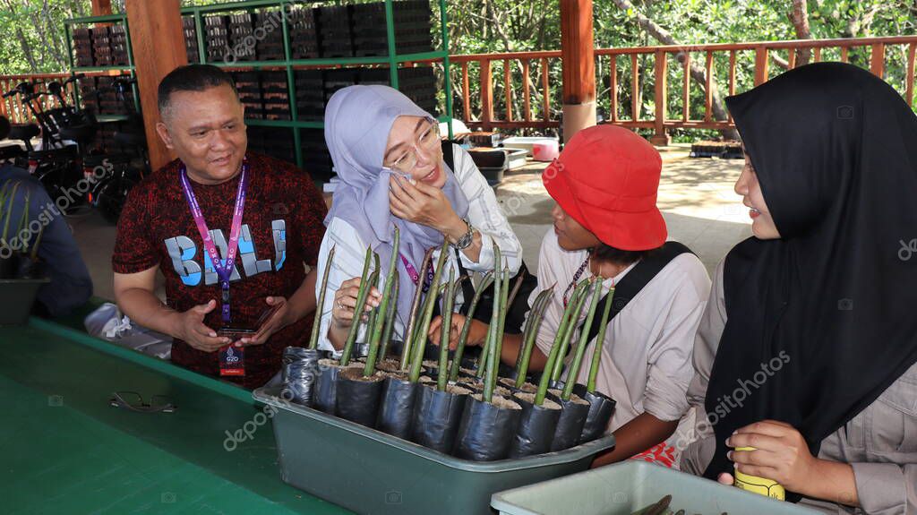 Ngurah Rai Tahura mangrove area, meeting place for state leaders at the G20 Summit Bali 8 December 2022