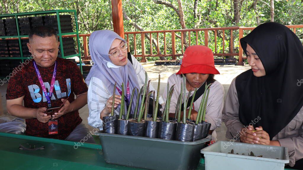Ngurah Rai Tahura mangrove area, meeting place for state leaders at the G20 Summit Bali 8 December 2022