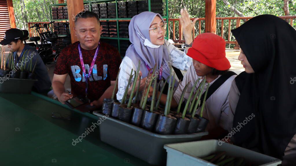 Ngurah Rai Tahura mangrove area, meeting place for state leaders at the G20 Summit Bali 8 December 2022