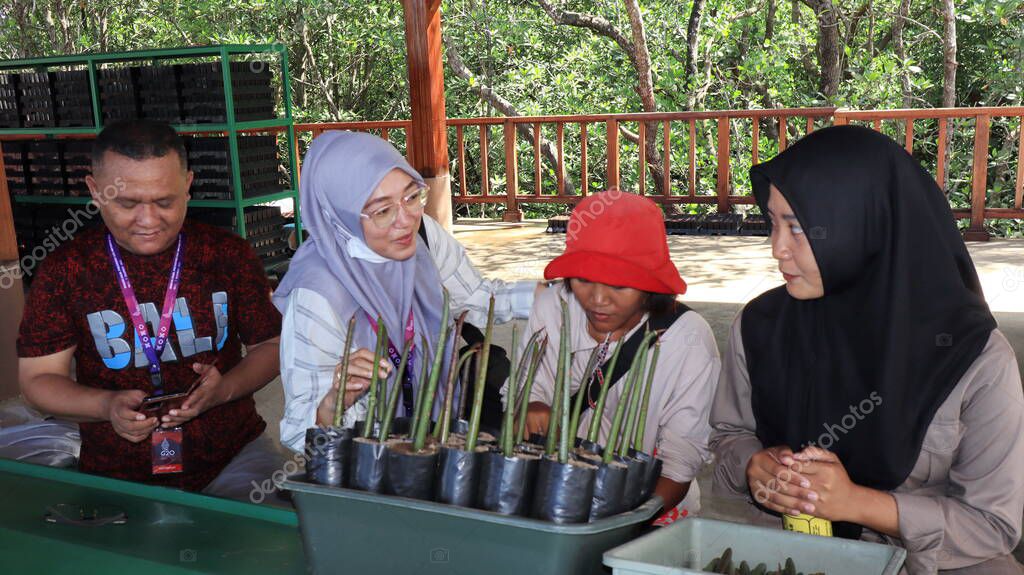 Ngurah Rai Tahura mangrove area, meeting place for state leaders at the G20 Summit Bali 8 December 2022
