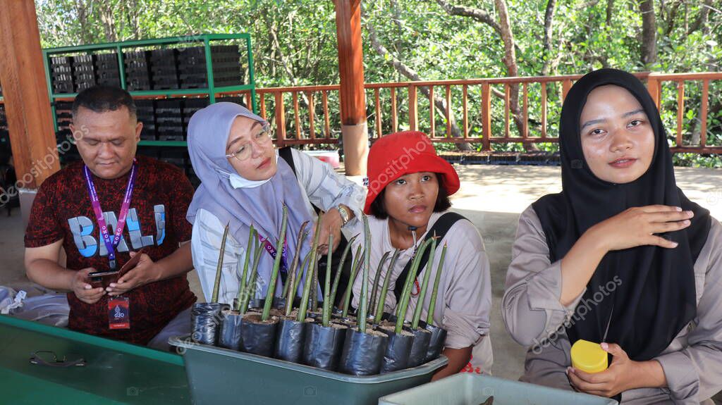 Ngurah Rai Tahura mangrove area, meeting place for state leaders at the G20 Summit Bali 8 December 2022