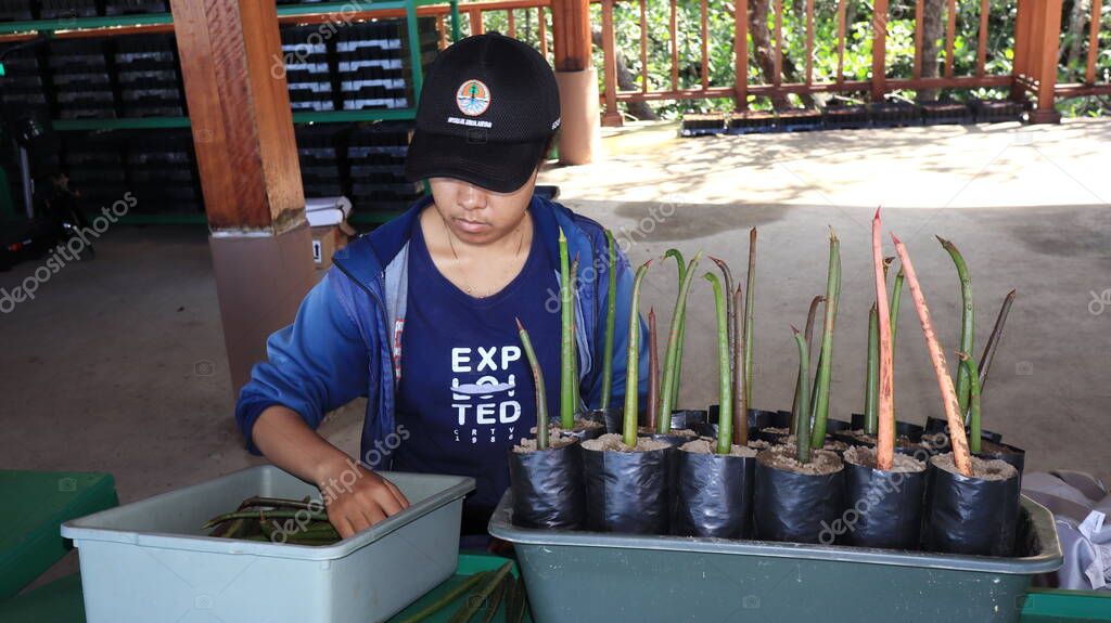 Ngurah Rai Tahura mangrove area, meeting place for state leaders at the G20 Summit Bali 8 December 2022