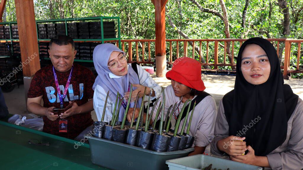 Ngurah Rai Tahura mangrove area, meeting place for state leaders at the G20 Summit Bali 8 December 2022