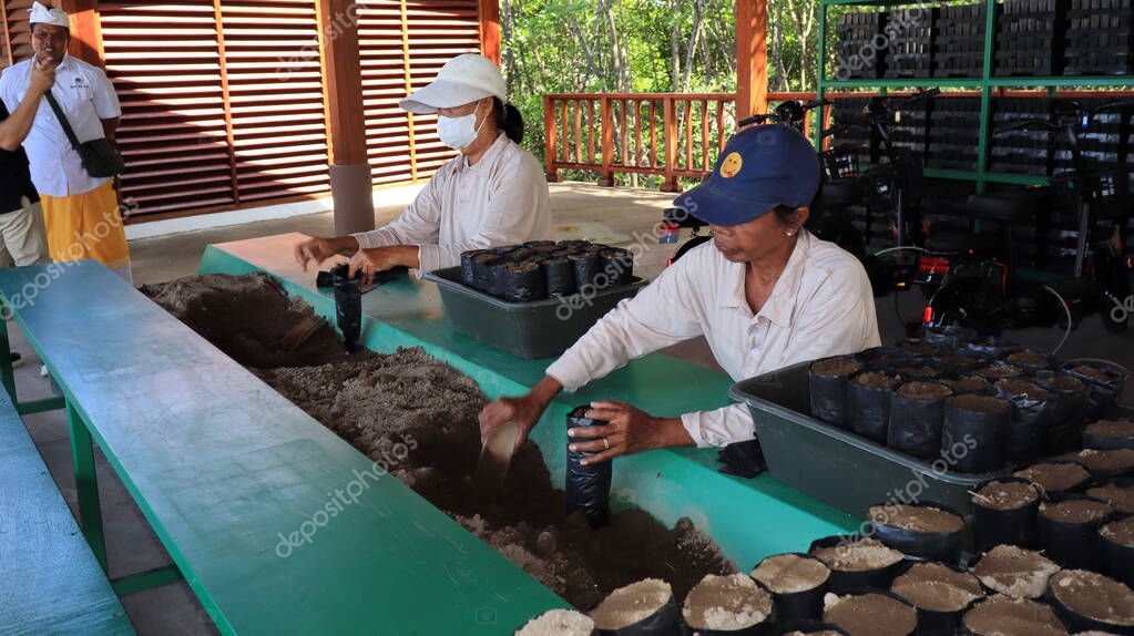 Ngurah Rai Tahura mangrove area, meeting place for state leaders at the G20 Summit Bali 8 December 2022
