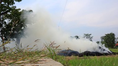 Burn weeds in rice fields to prepare for rice planting. burning smoke blocking the way