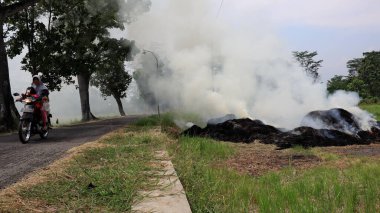 Pirinç ekimine hazırlanmak için pirinç tarlalarında yabani otlar yak. Yanan duman yolu kapatıyor.