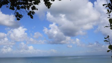 Coconut trees against blue sky, Coconut trees at tropical coast, coconut tree, summer tree. background with copy space.